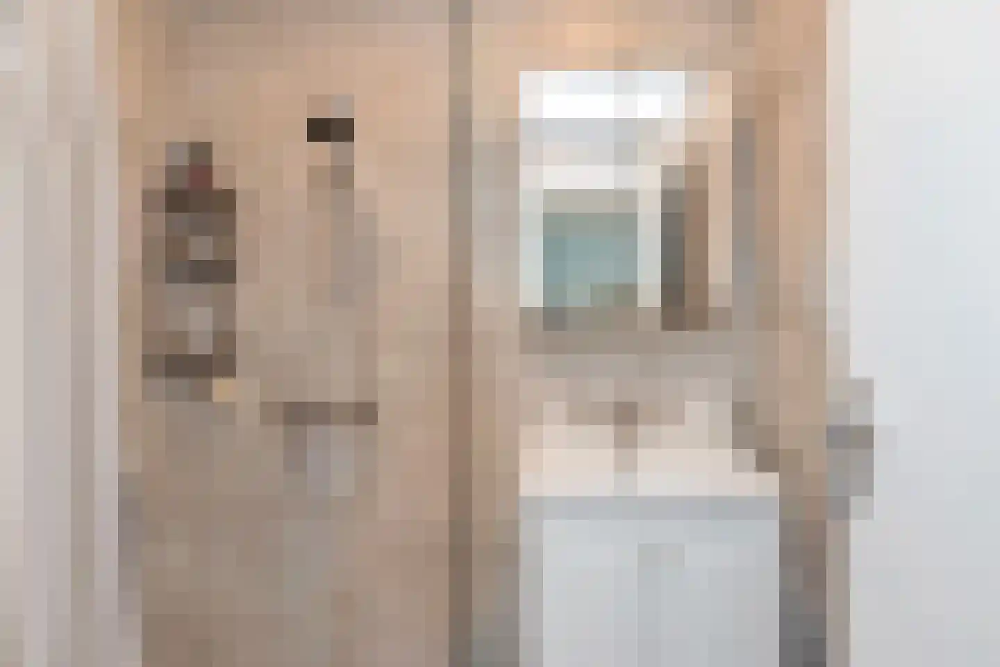 De Schepel 13 Dronten thumbnail 48