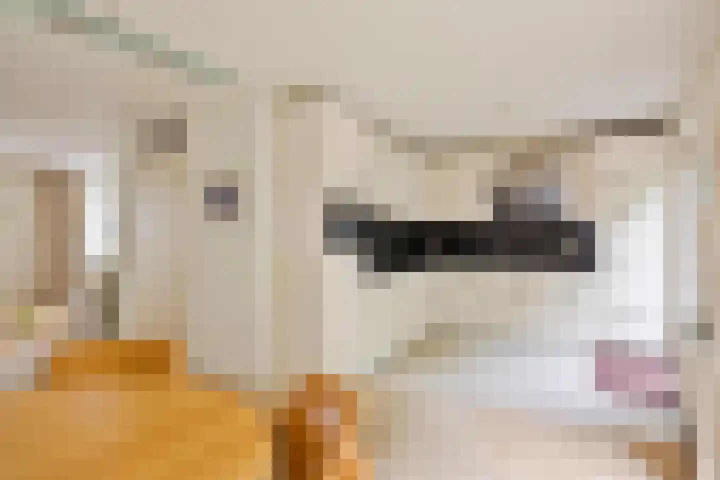De Schepel 40 Dronten thumbnail 14