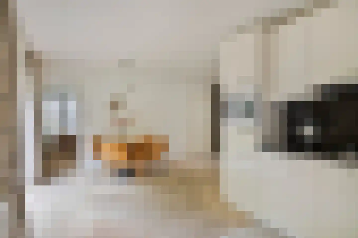De Schepel 40 Dronten thumbnail 15