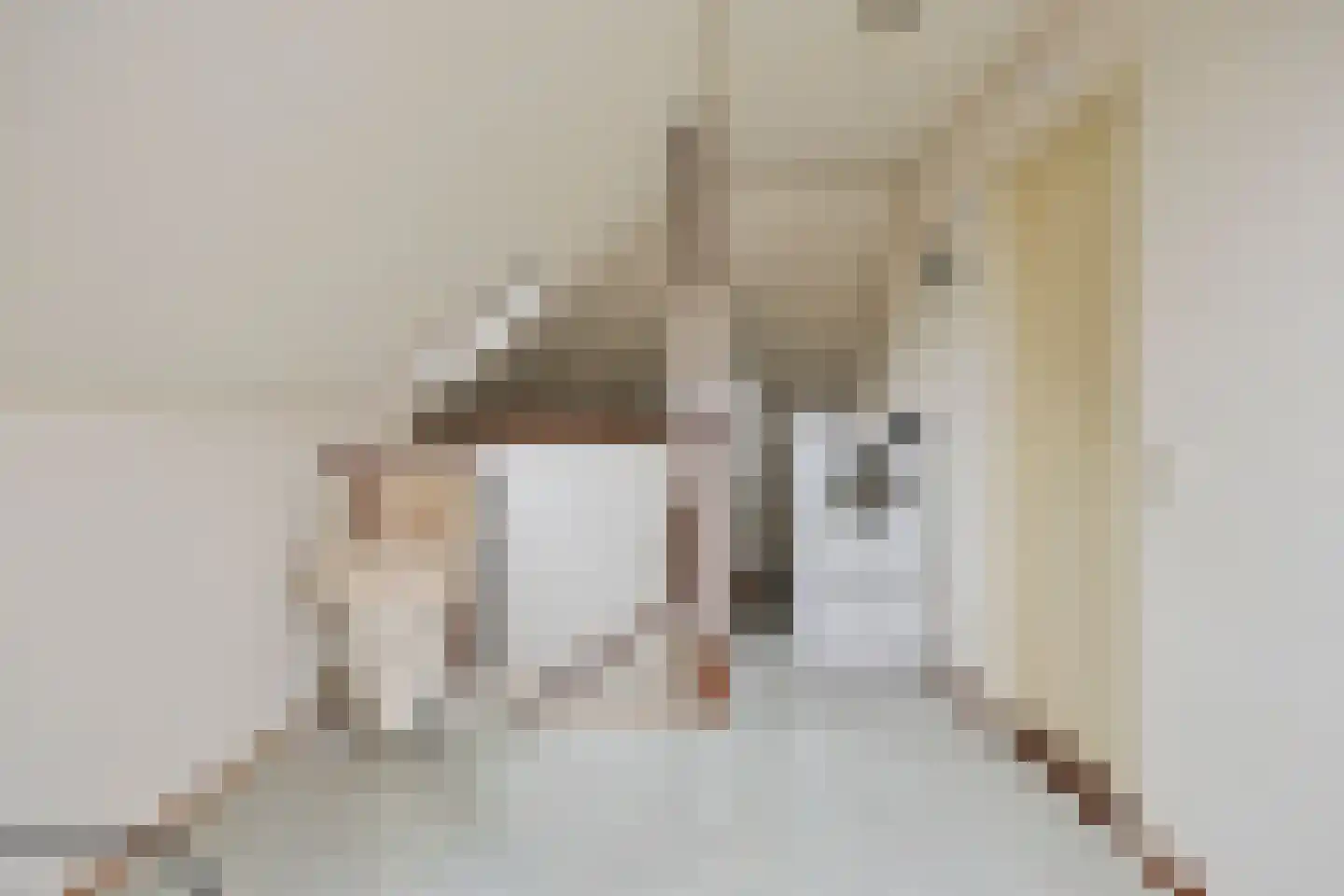 De Schepel 40 Dronten thumbnail 25