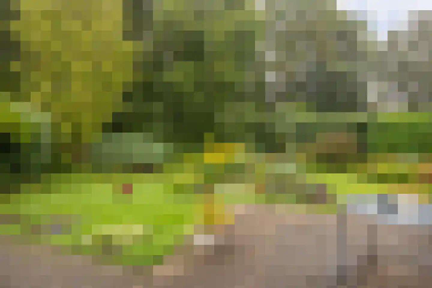 De Schepel 40 Dronten thumbnail 34