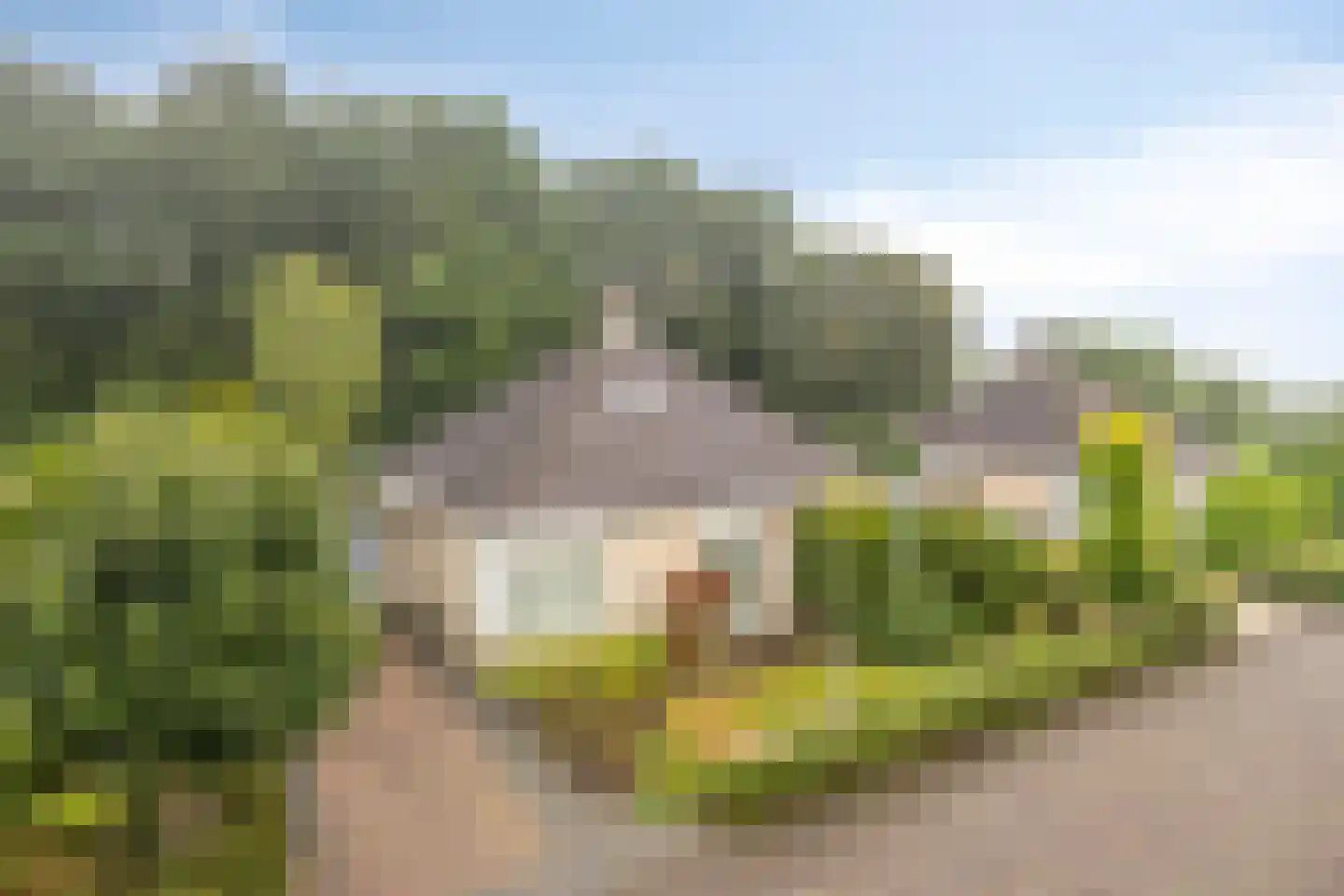 De Schepel 40 Dronten thumbnail 36