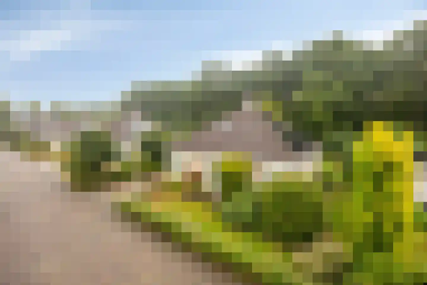De Schepel 40 Dronten thumbnail 37