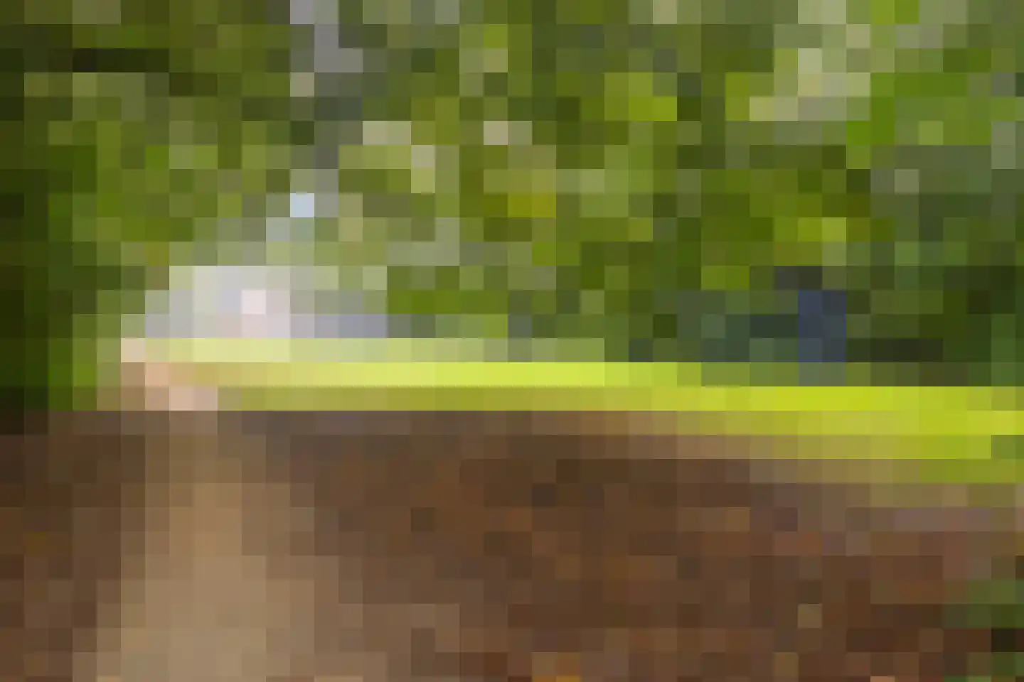 De Schepel 40 Dronten thumbnail 42