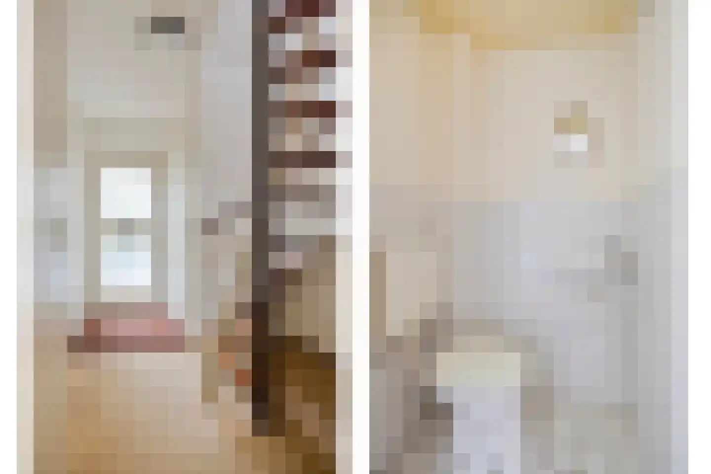 De Schepel 40 Dronten thumbnail 6