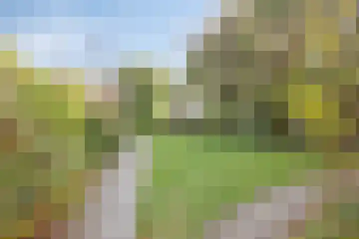 De Schepel 48 Dronten thumbnail 10