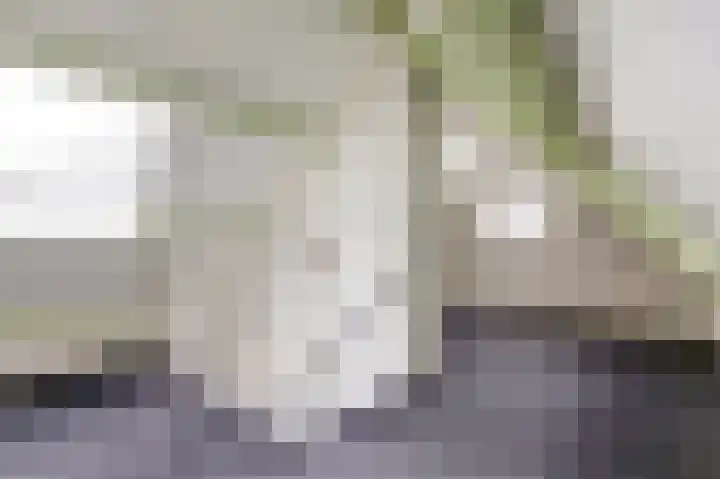 De Schepel 48 Dronten thumbnail 19