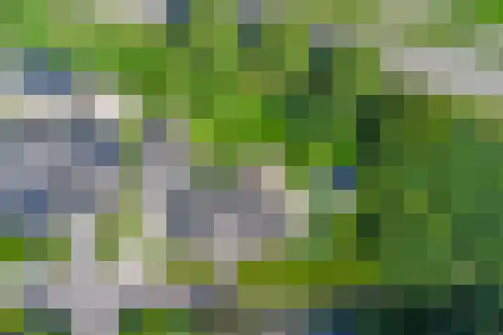 De Schepel 48 Dronten foto 2