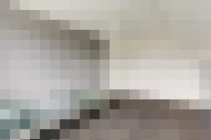 De Schepel 48 Dronten thumbnail 27