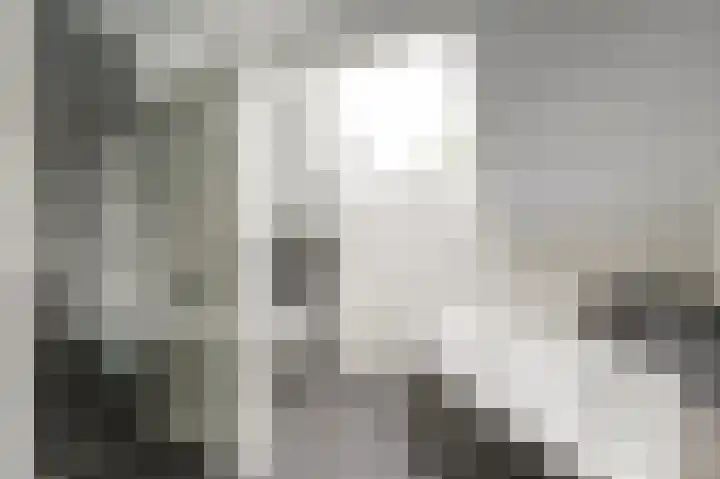 De Schepel 48 Dronten thumbnail 28