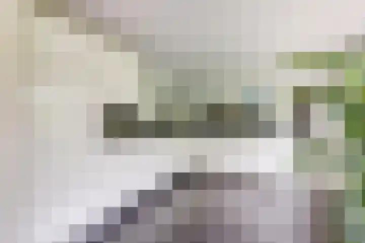 De Schepel 48 Dronten foto 3