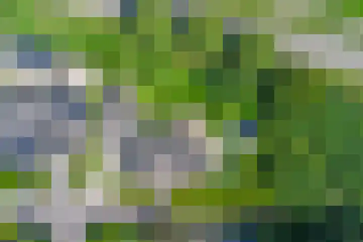 De Schepel 48 Dronten thumbnail 34