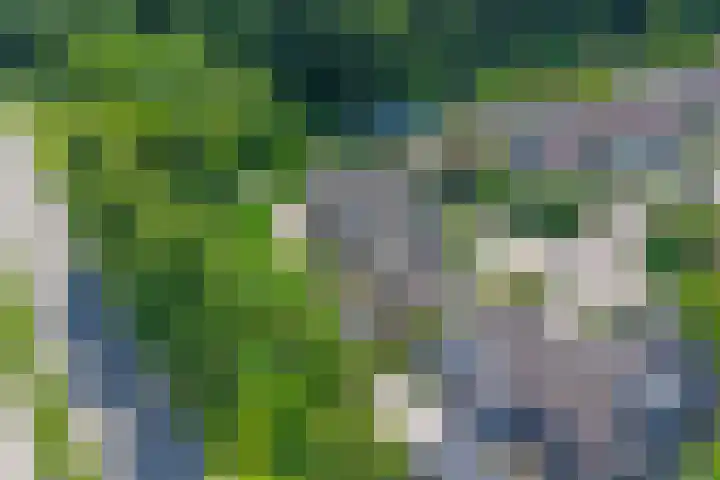 De Schepel 48 Dronten thumbnail 35