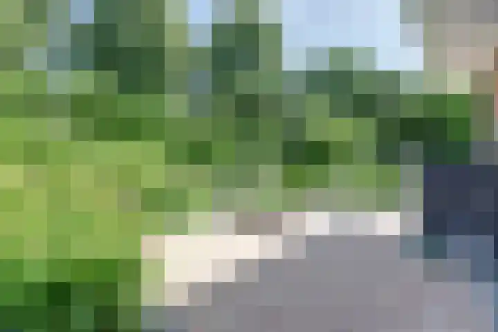 De Schepel 48 Dronten thumbnail 38