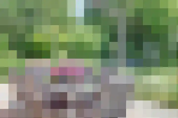 De Schepel 48 Dronten thumbnail 40