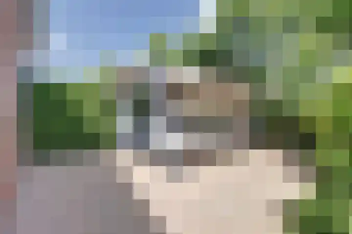 De Schepel 48 Dronten thumbnail 42