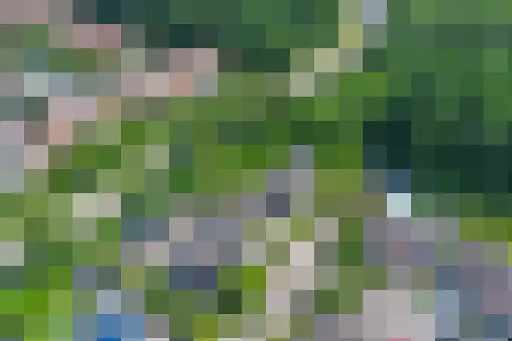 De Schepel 48 Dronten thumbnail 43