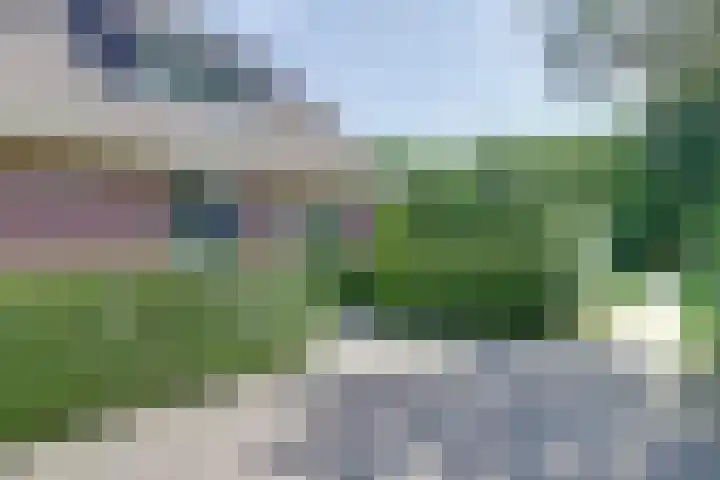 De Schepel 48 Dronten thumbnail 45