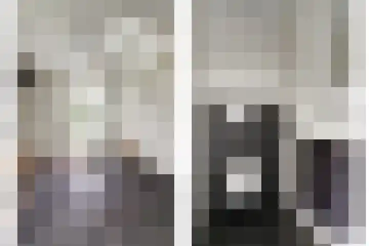 De Schepel 48 Dronten thumbnail 6