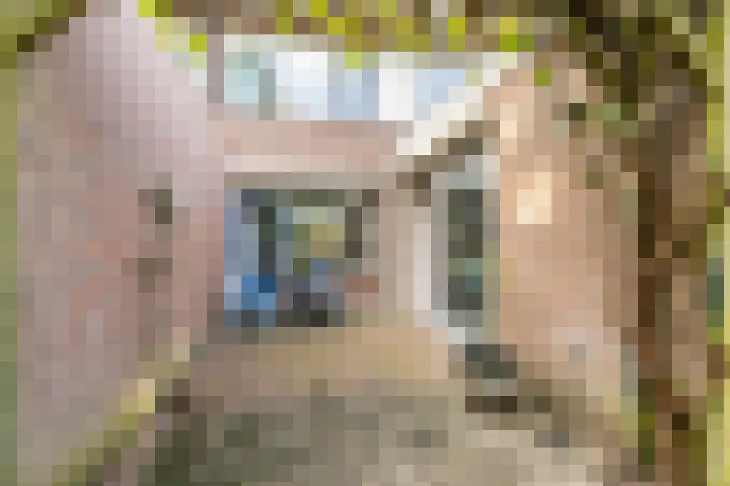 de Schepen 11 Oirschot thumbnail 18