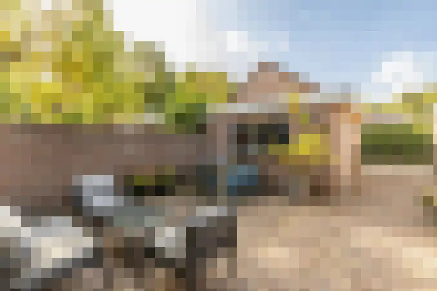 de Schepen 11 Oirschot thumbnail 35