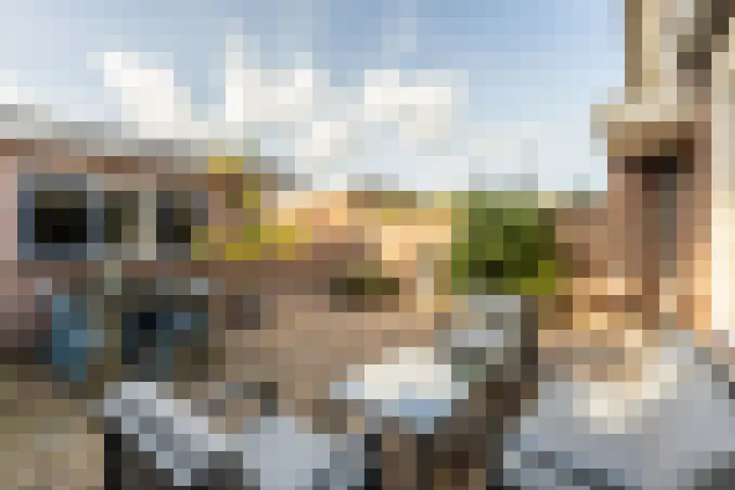 de Schepen 11 Oirschot thumbnail 36