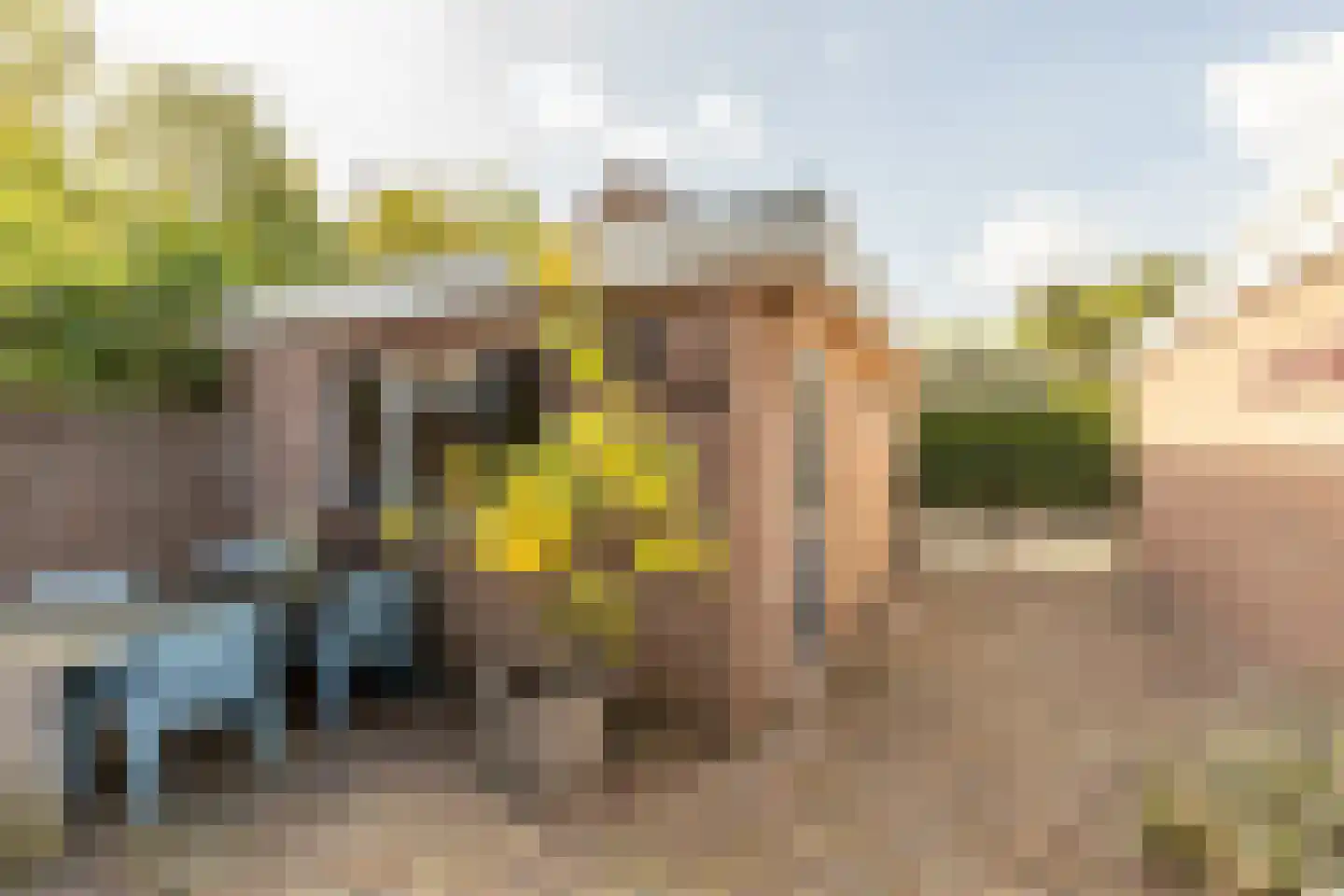 de Schepen 11 Oirschot thumbnail 37