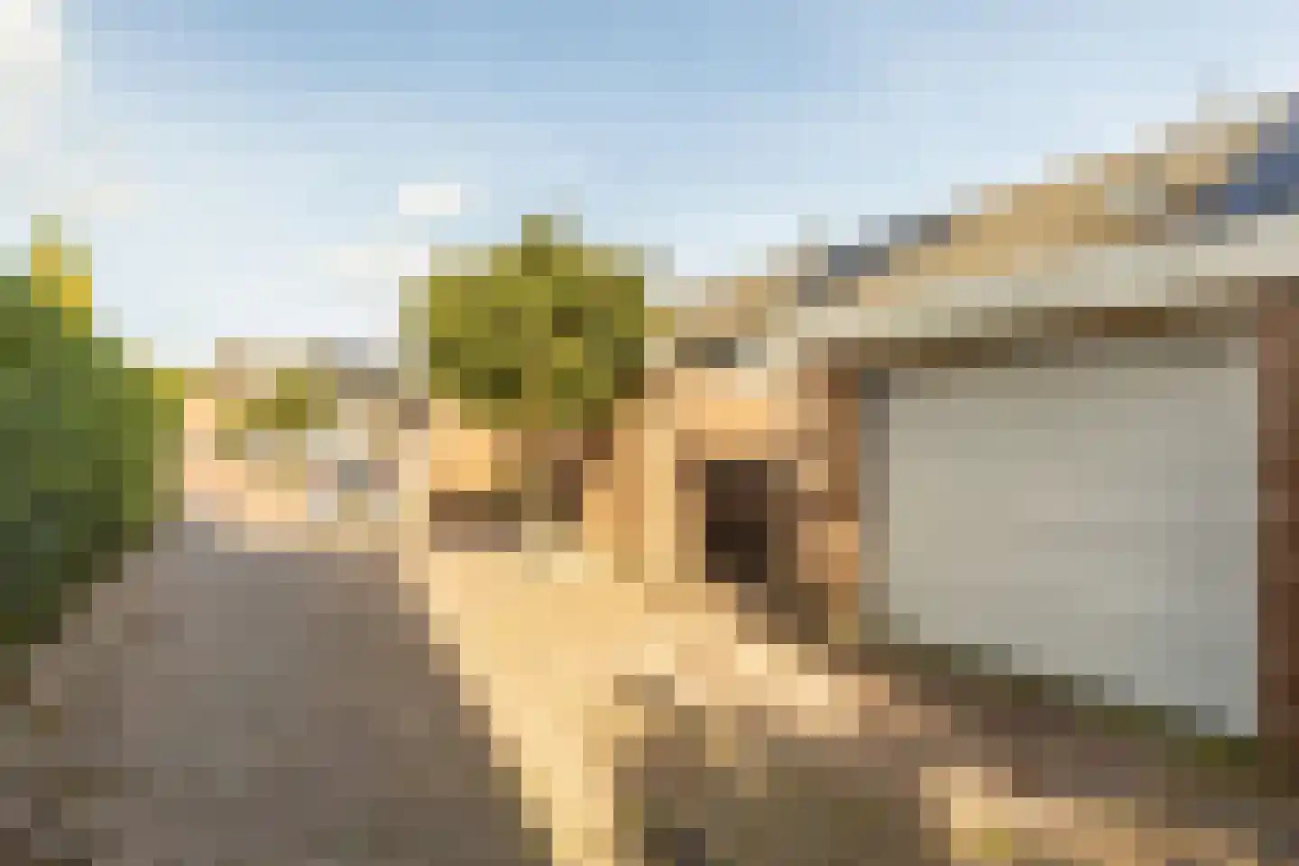 de Schepen 11 Oirschot thumbnail 40