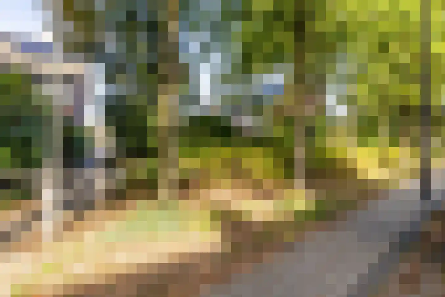 de Schepen 11 Oirschot thumbnail 41