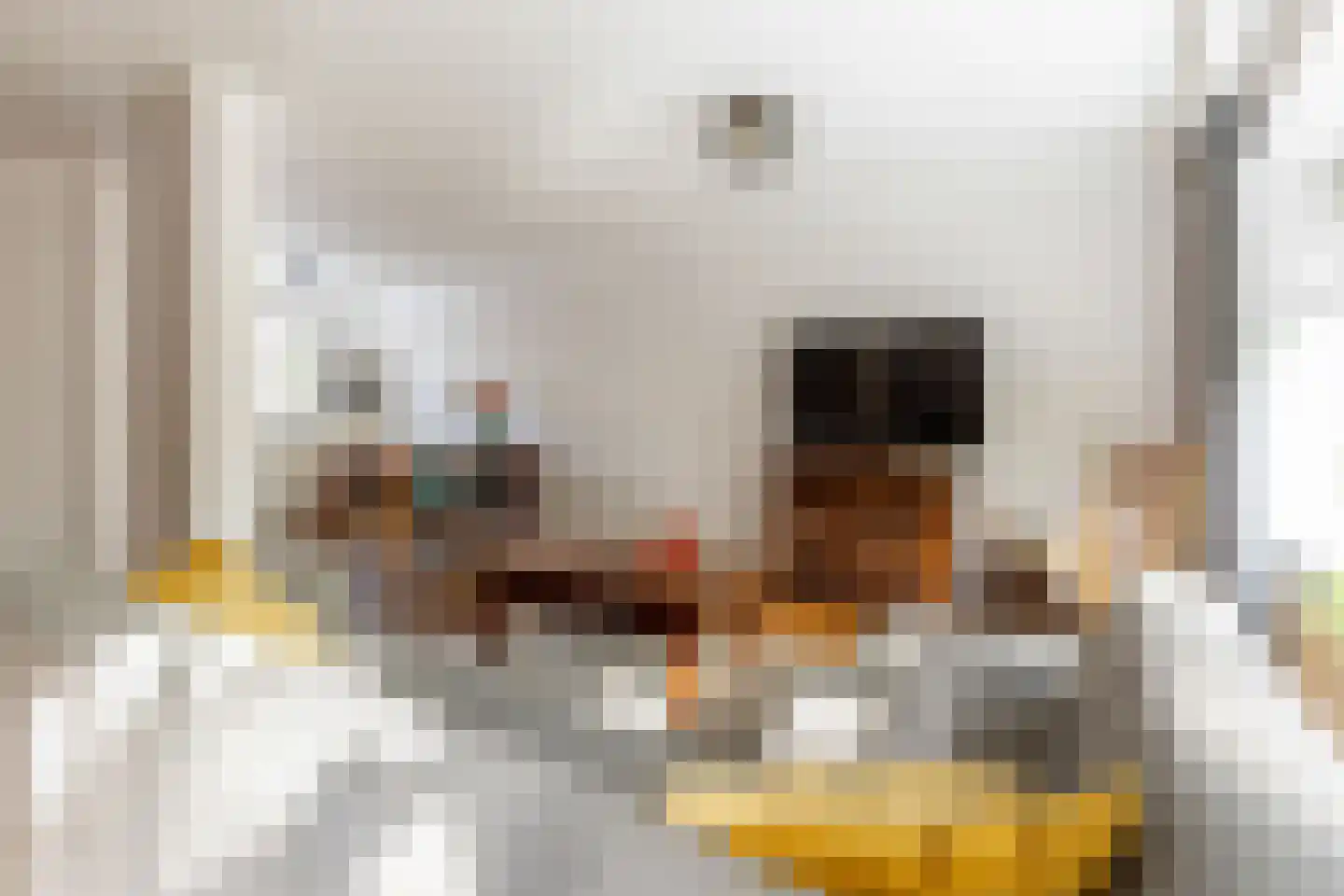 de Schepen 15 Oirschot thumbnail 23