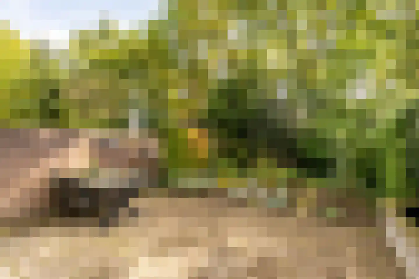de Schepen 15 Oirschot thumbnail 41
