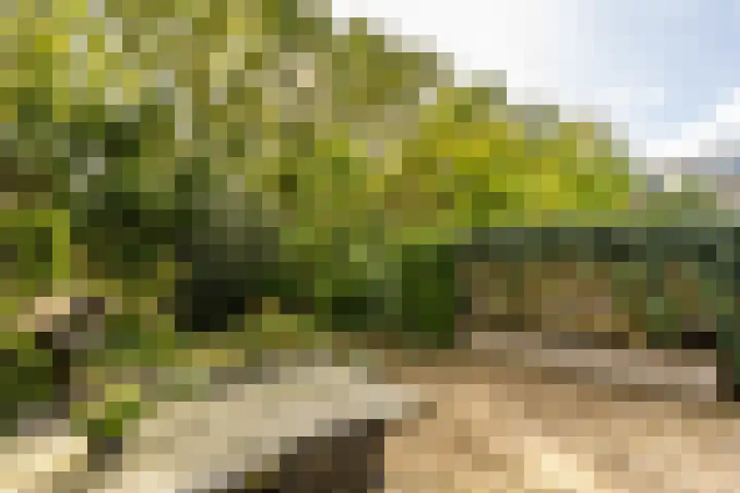de Schepen 15 Oirschot thumbnail 42