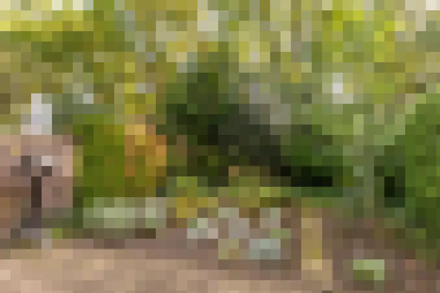 de Schepen 15 Oirschot thumbnail 43