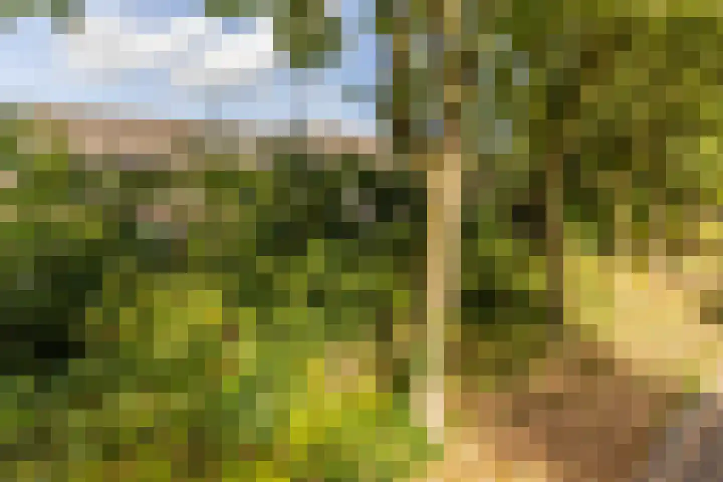 de Schepen 15 Oirschot thumbnail 44