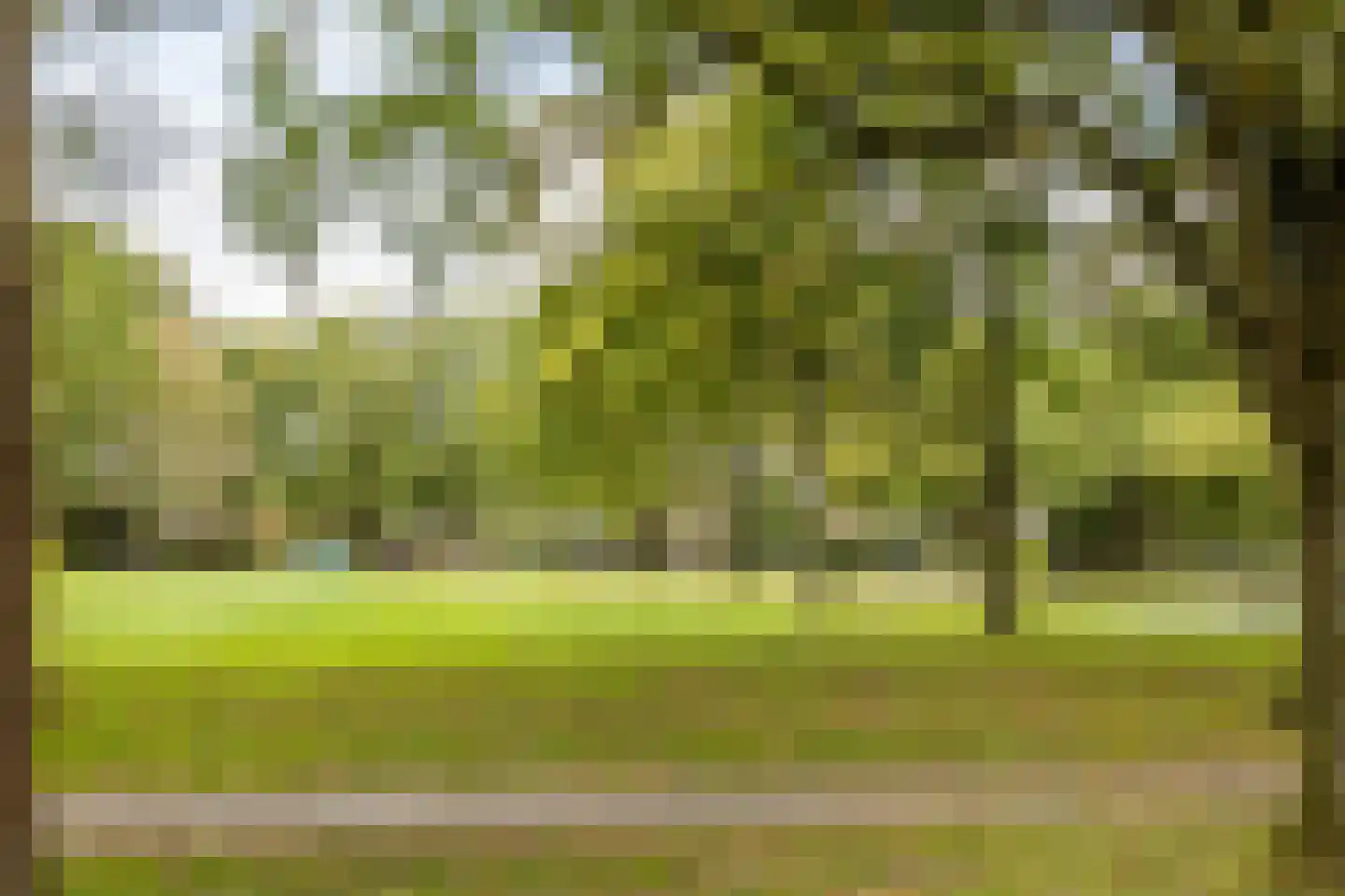 de Schepen 15 Oirschot thumbnail 46