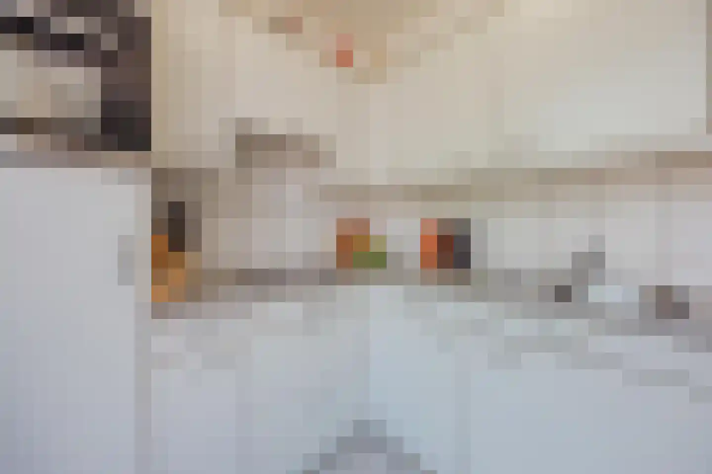De Scheper 2 Grubbenvorst thumbnail 13