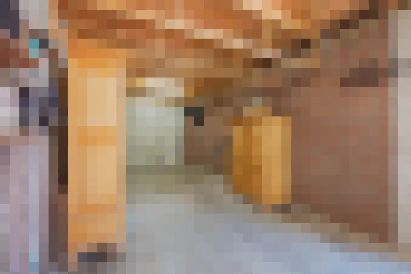 De Scheper 2 Grubbenvorst thumbnail 27