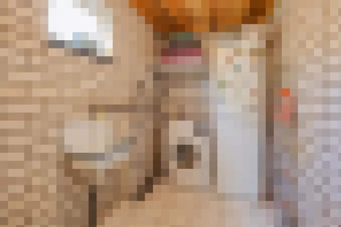 De Scheper 2 Grubbenvorst thumbnail 28