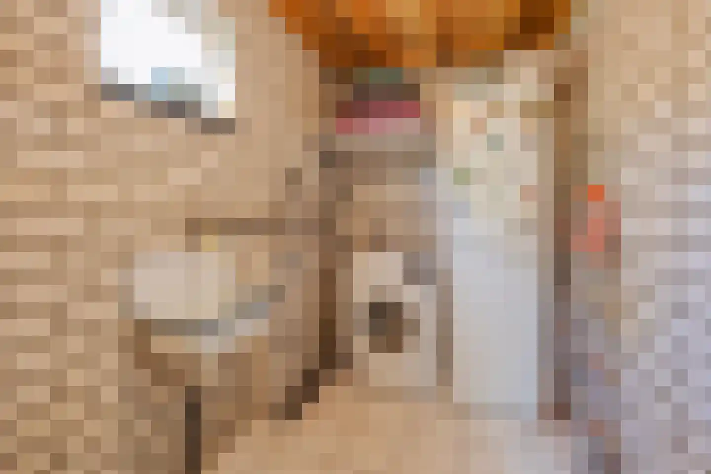 De Scheper 2 Grubbenvorst thumbnail 29