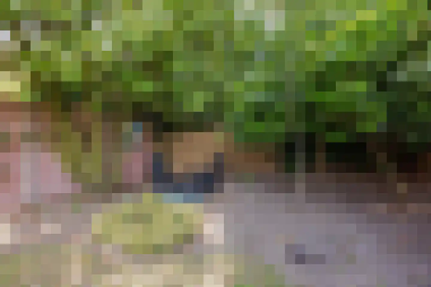 De Scheper 2 Grubbenvorst thumbnail 34