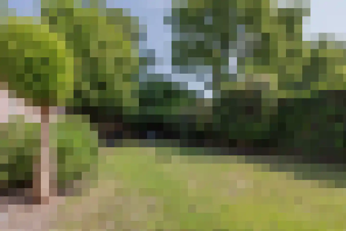 De Scheper 2 Grubbenvorst thumbnail 6