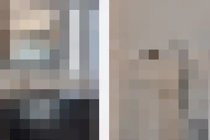 De Schepershilt 15 Leusden thumbnail 16