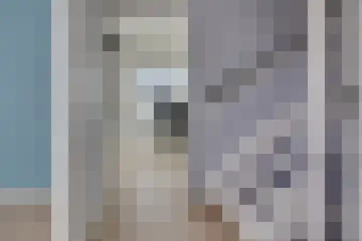 De Schepershilt 15 Leusden thumbnail 17