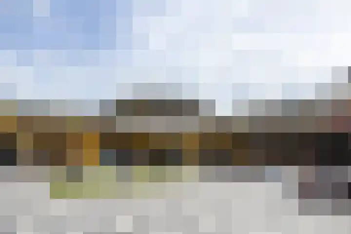 De Schepershilt 15 Leusden thumbnail 24