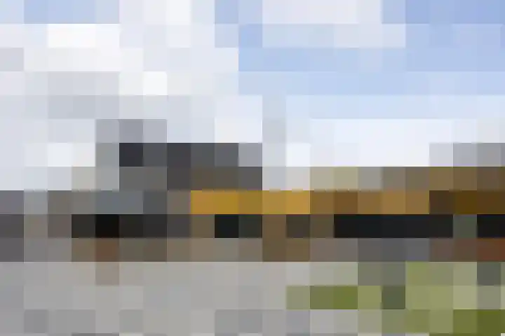 De Schepershilt 15 Leusden thumbnail 25