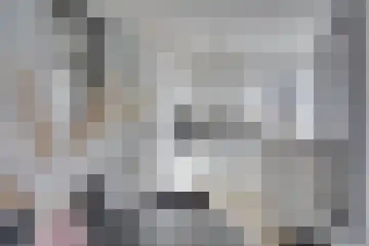 De Schepershilt 15 Leusden thumbnail 9