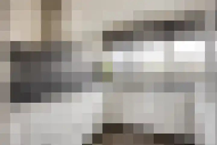 De Schepershilt 31 Leusden thumbnail 11