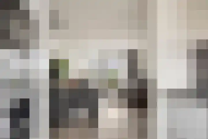 De Schepershilt 31 Leusden thumbnail 13