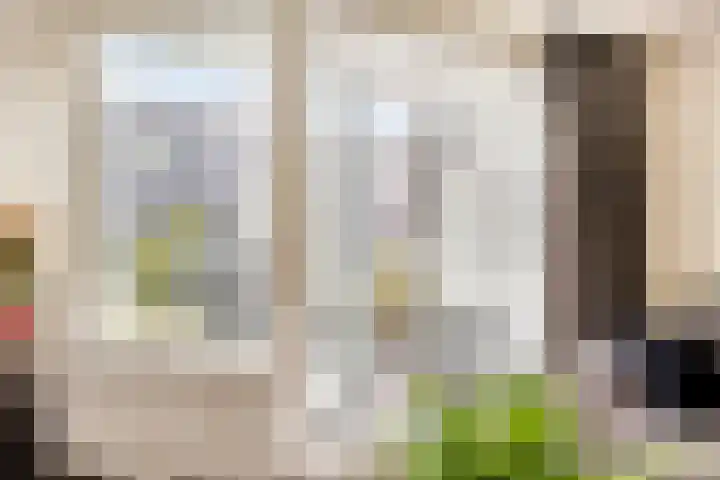 De Schepershilt 31 Leusden thumbnail 15