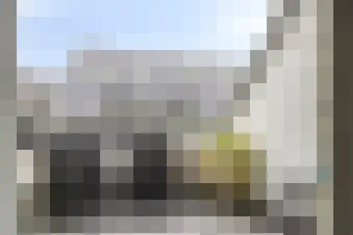 De Schepershilt 31 Leusden thumbnail 16